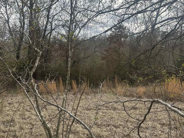 00G WALNUT VALLEY Road, Hot Springs Village, AR 71909