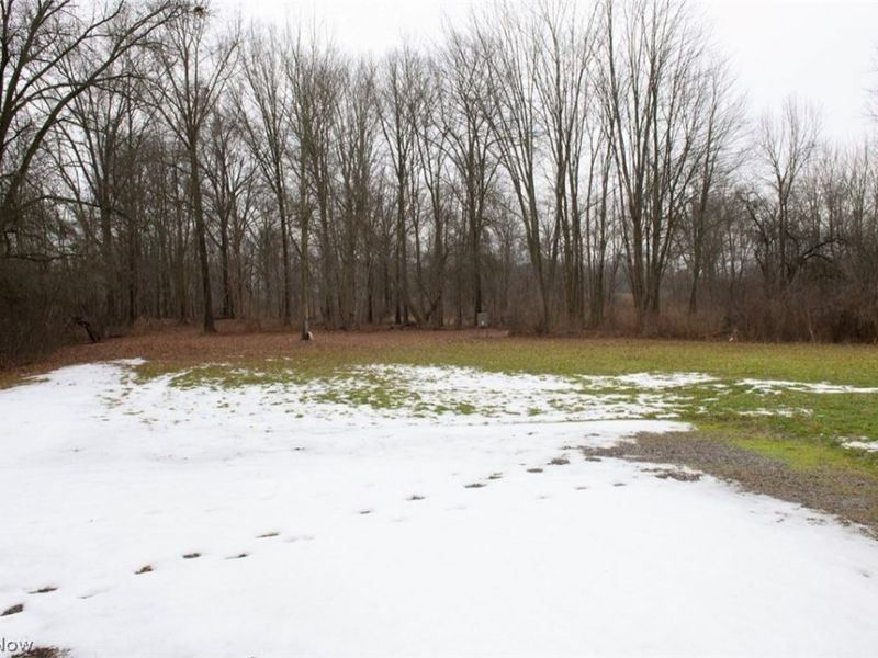 6060 Raccoon, Canfield, OH 44406 Photo 8