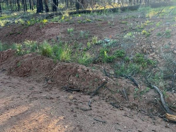 Lot 542 Forbes Pk, Fort Garland, CO 81133