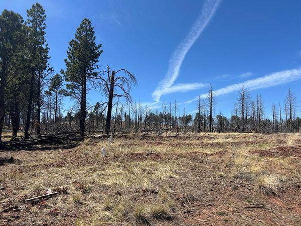 Lot 542 Forbes Pk, Fort Garland, CO 81133