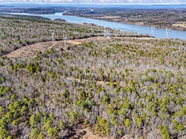 Flurry Road, Delaware, AR 72835