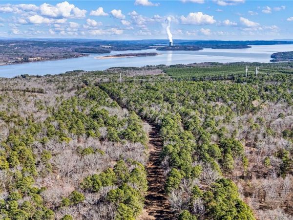 Flurry Road, Delaware, AR 72835