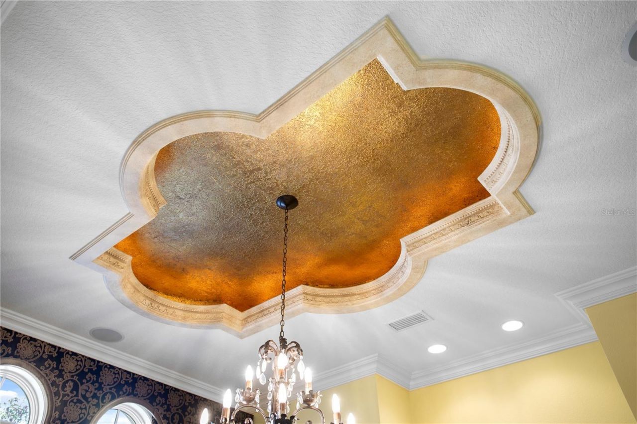 16911 Comunidad De Avila, Lutz, FL 33548 Photo