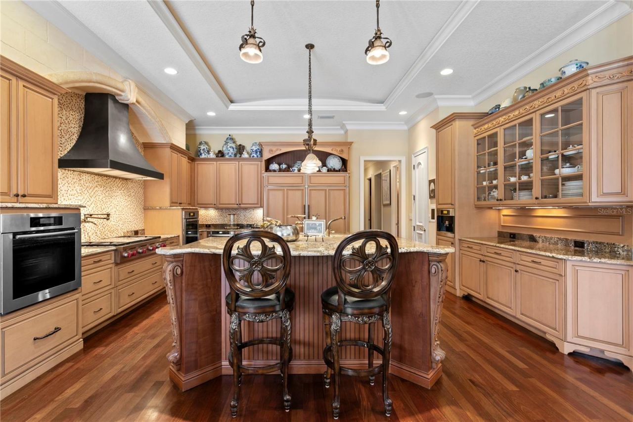 16911 Comunidad De Avila, Lutz, FL 33548 Photo