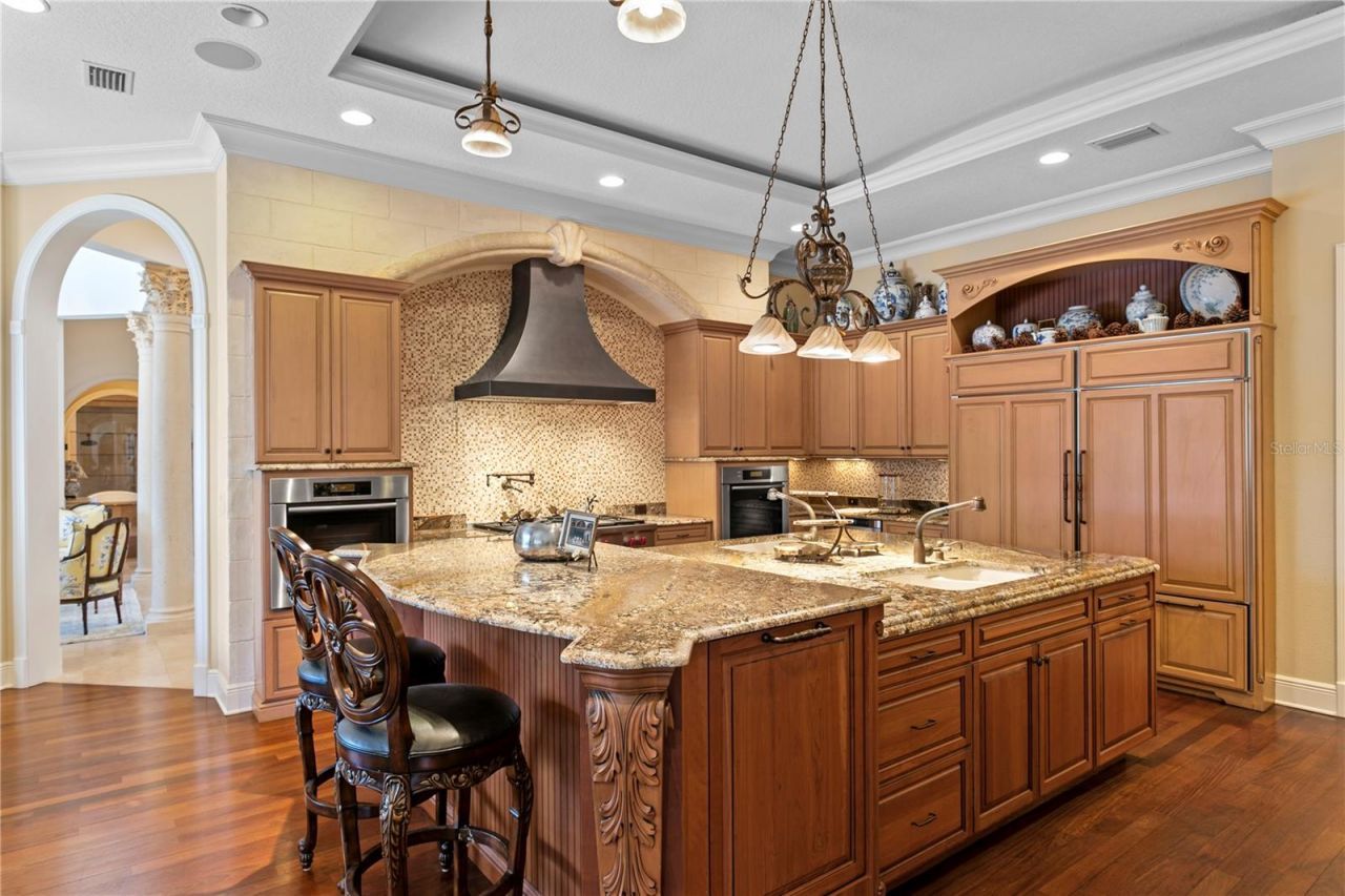 16911 Comunidad De Avila, Lutz, FL 33548 Photo