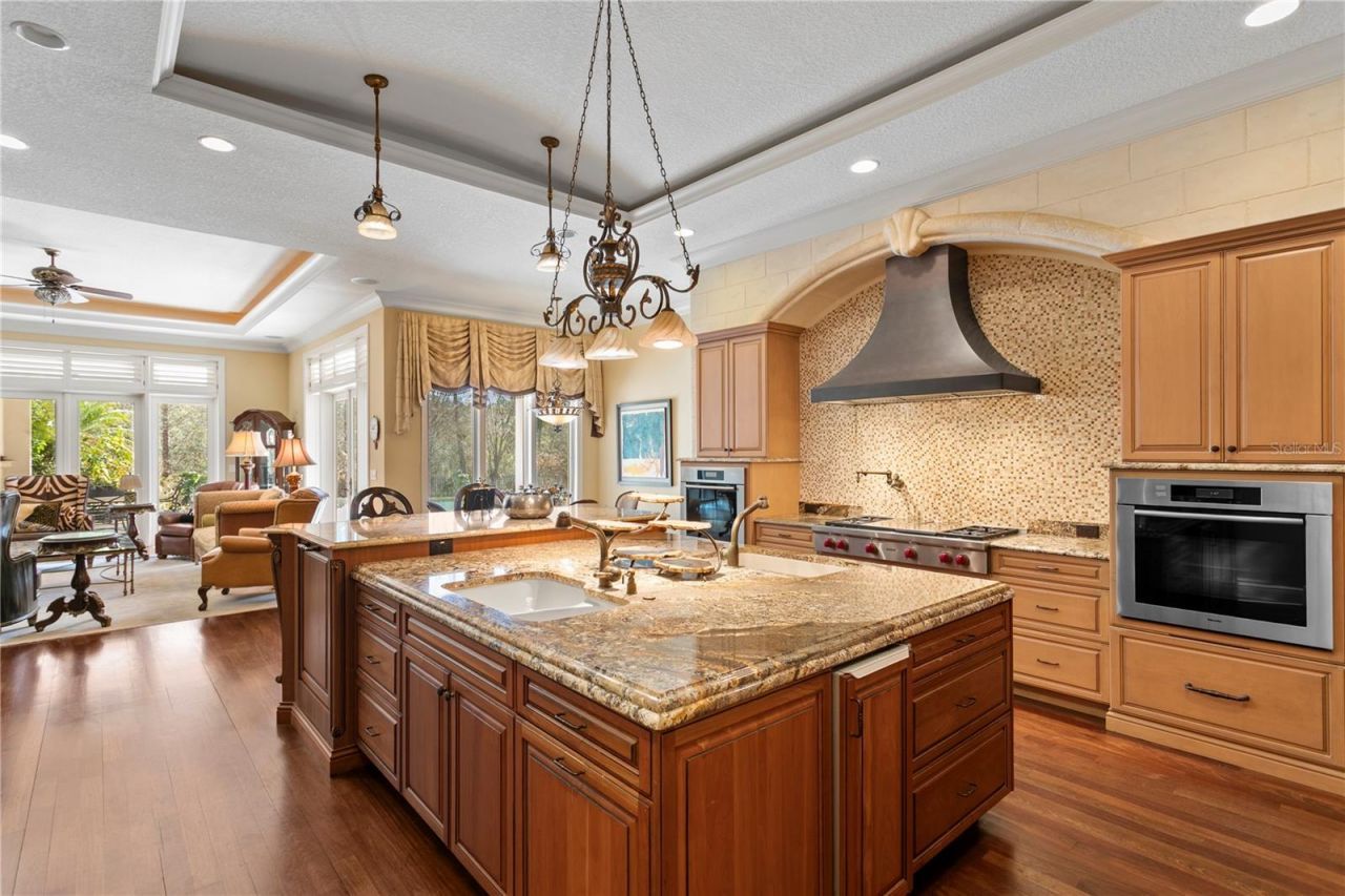 16911 Comunidad De Avila, Lutz, FL 33548 Photo