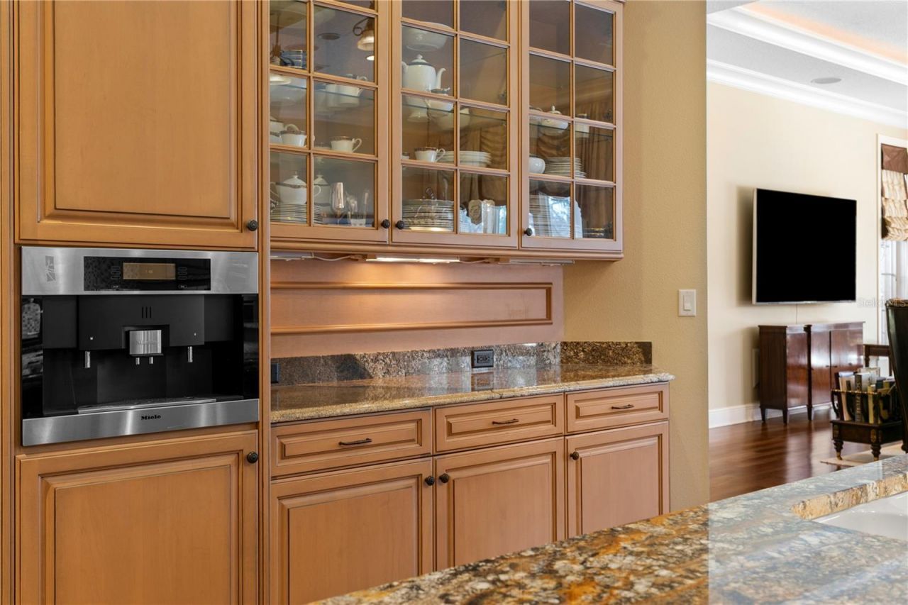 16911 Comunidad De Avila, Lutz, FL 33548 Photo