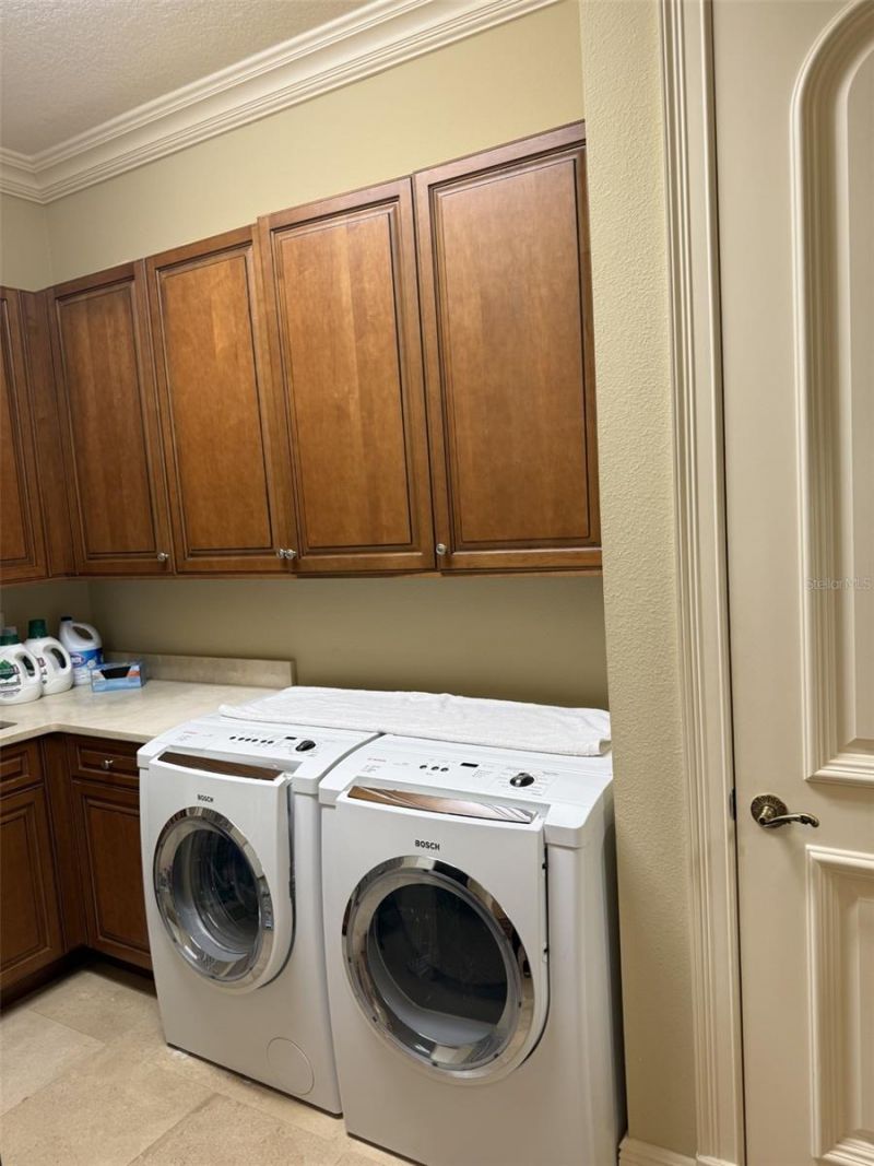 16911 Comunidad De Avila, Lutz, FL 33548 Photo