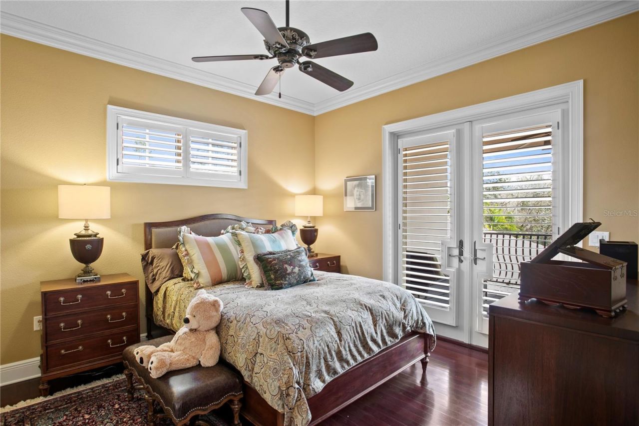 16911 Comunidad De Avila, Lutz, FL 33548 Photo