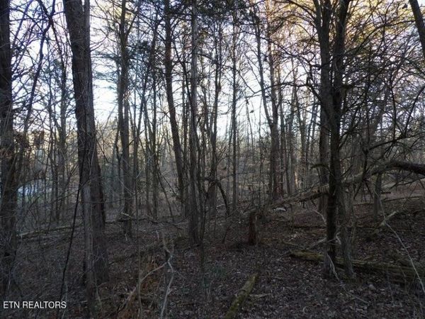 Lot 1060 Mountain View Lane, Baneberry, TN 37890