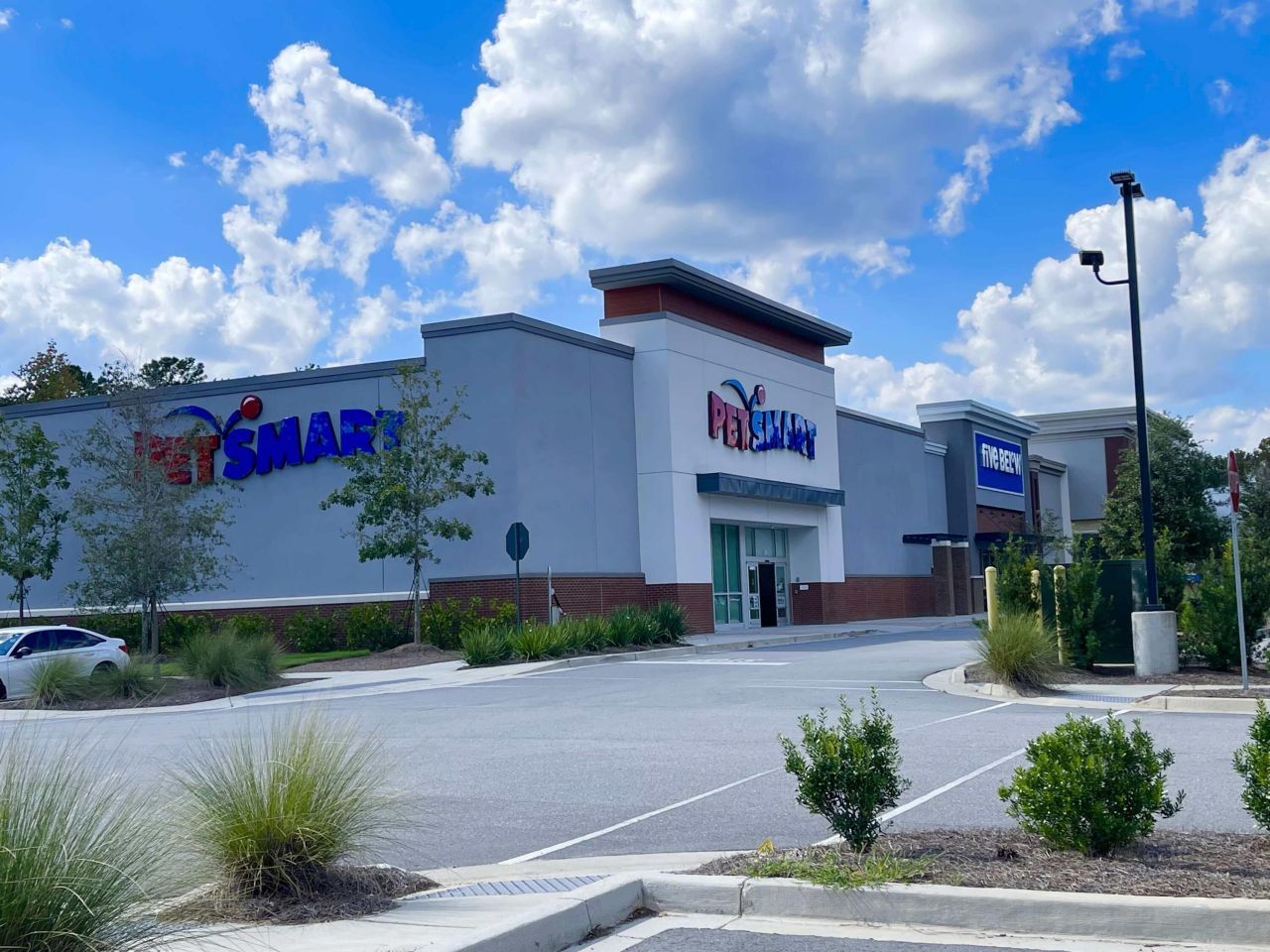 4714 Cotillion Drive Photo 37