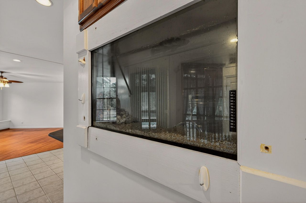 161 Davis Terrace Photo 6