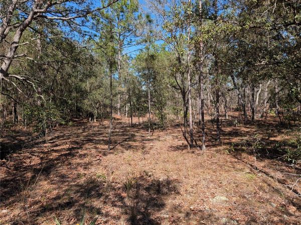 SW 81ST STREET, DUNNELLON, FL 34432