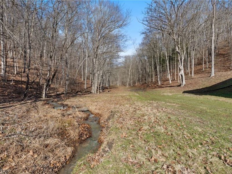 2994 State Route 524, Bergholz, OH 43908 Photo 27