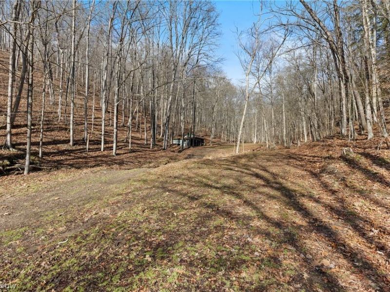 2994 State Route 524, Bergholz, OH 43908 Photo 28