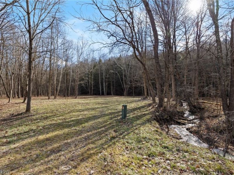 2994 State Route 524, Bergholz, OH 43908 Photo 29