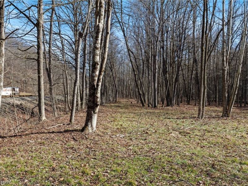 2994 State Route 524, Bergholz, OH 43908 Photo 31