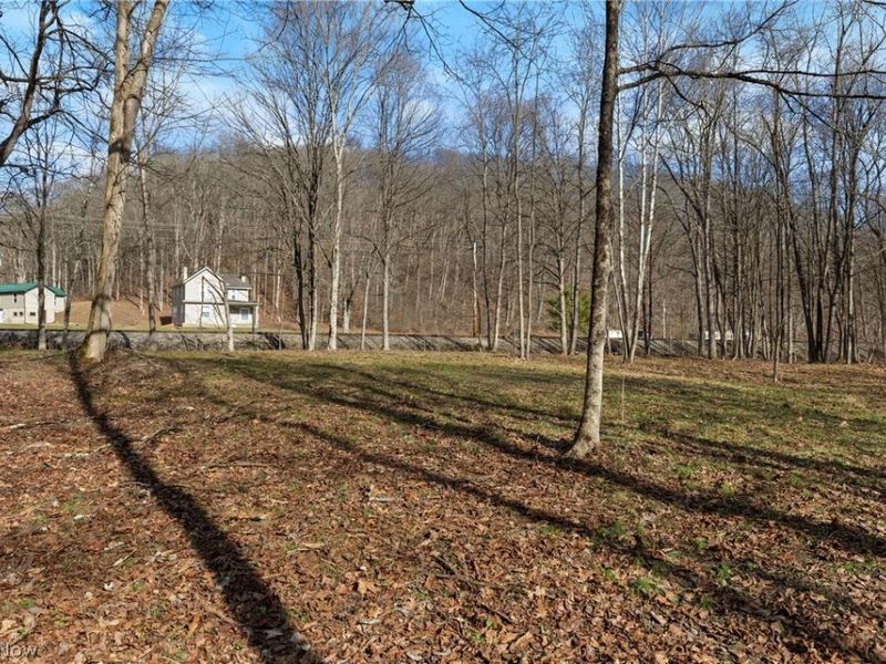 2994 State Route 524, Bergholz, OH 43908 Photo 34