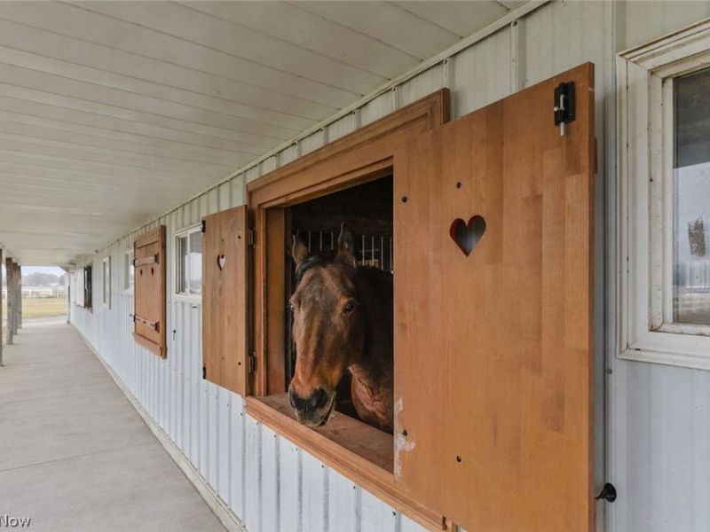 16501 Station Road, Columbia Station, OH 44028 Photo 7