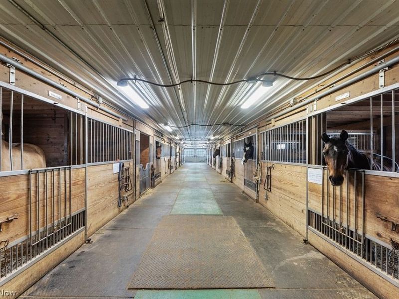 16501 Station Road, Columbia Station, OH 44028 Photo 8