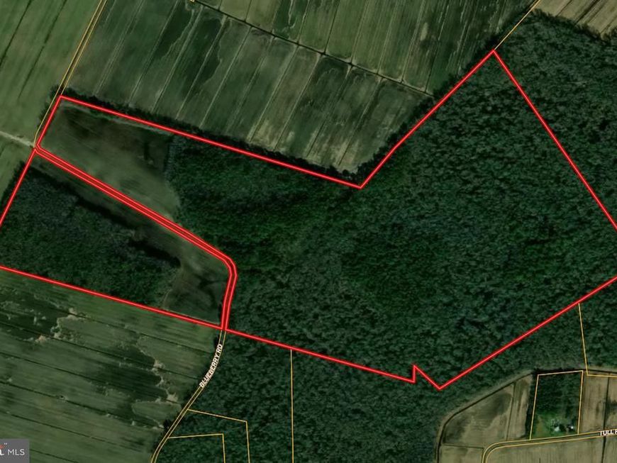 Blueberry Road, Whaleyville, MD 21872 Main Photo