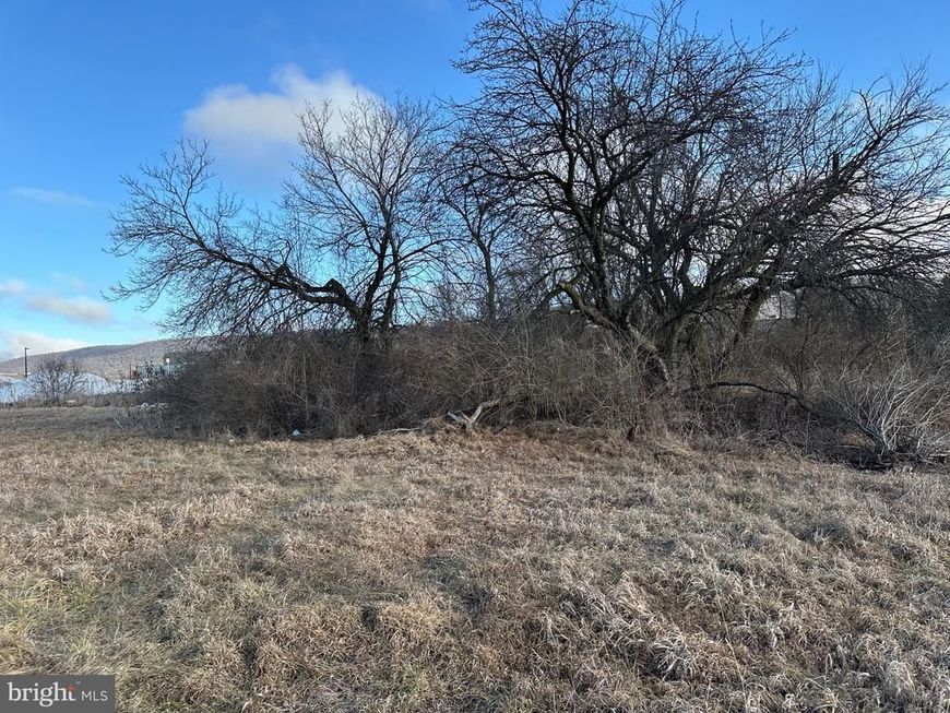 On Dreibelbis Street Street, State College, PA 16801 Main Photo