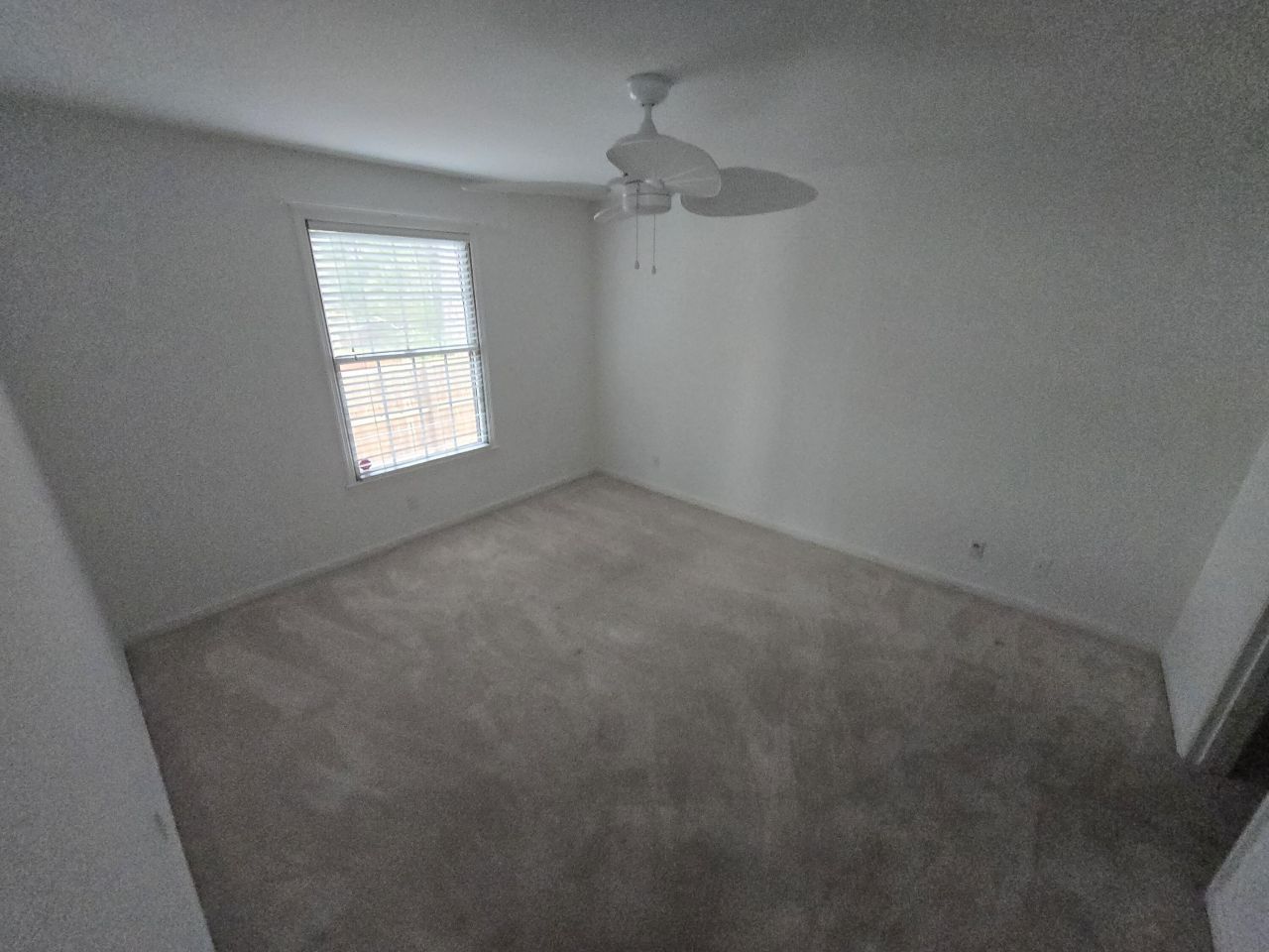 4628 Sunny Lane Photo 9