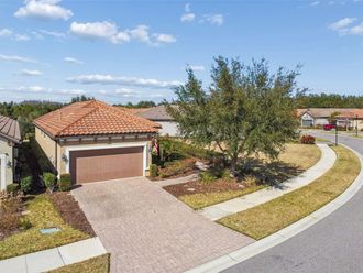 8440 ALBERATA VISTA DRIVE Tampa, FL 33647