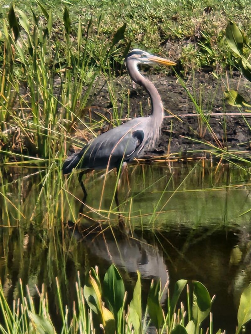 25601 Heritage Lake Boulevard, Unit 46, Punta Gorda, FL 33983 Photo