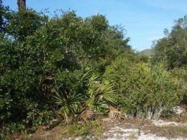 922 ASTER STREET, LAKE PLACID, FL 33862