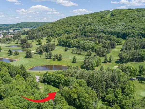 21 FANTASY LANE, MC HENRY, MD 21541