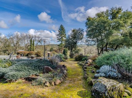 15900 State Highway 88, Jackson, CA 95642 Photo