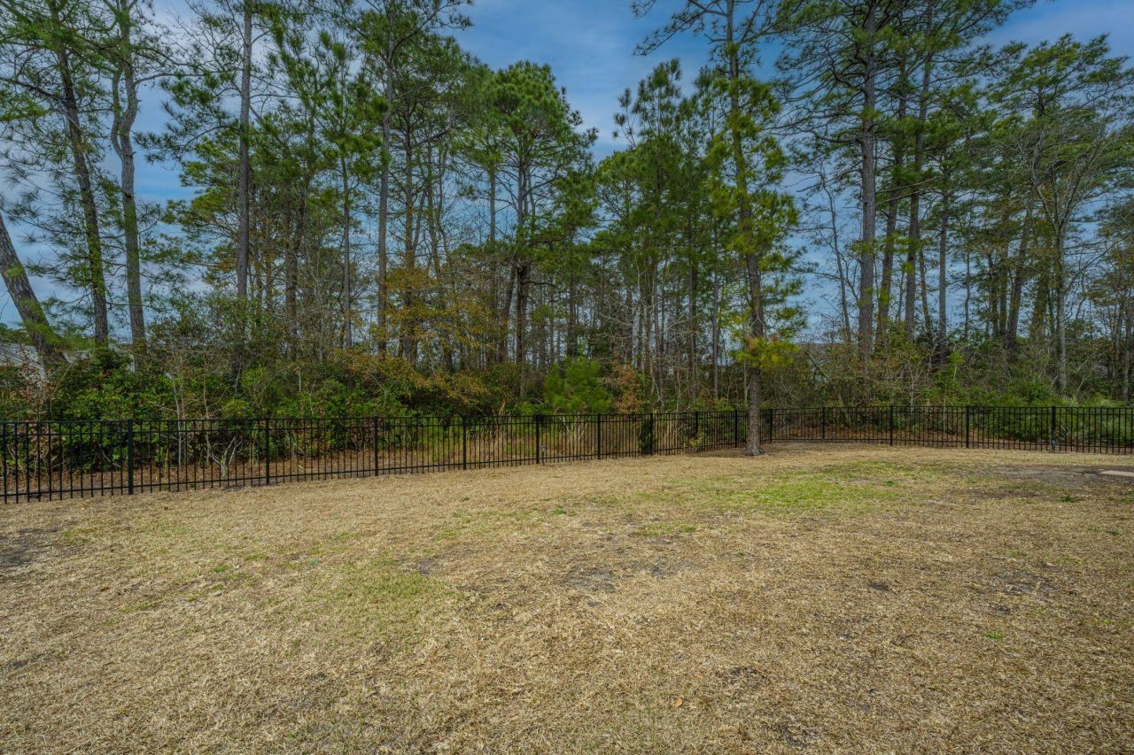 3440 Great Egret Drive Photo 46