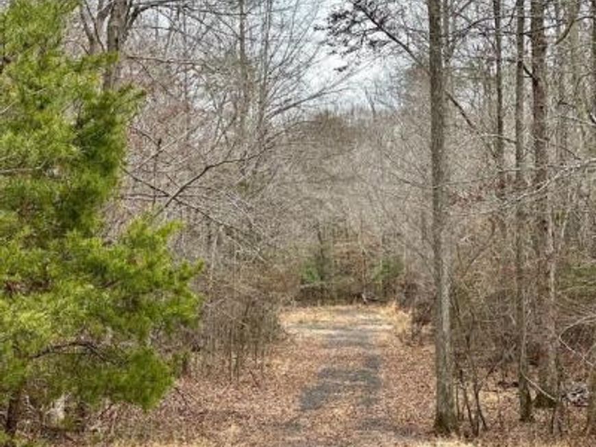 9680 Adams Willett Road, Nanjemoy, MD 20662 Main Photo