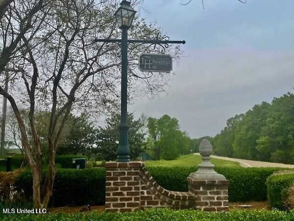 Chestnut Hill Road, Flora, MS 39071