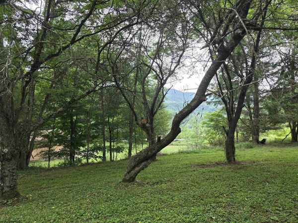 169 Wilma Lee Memorial Drive, Bowden, WV 26254