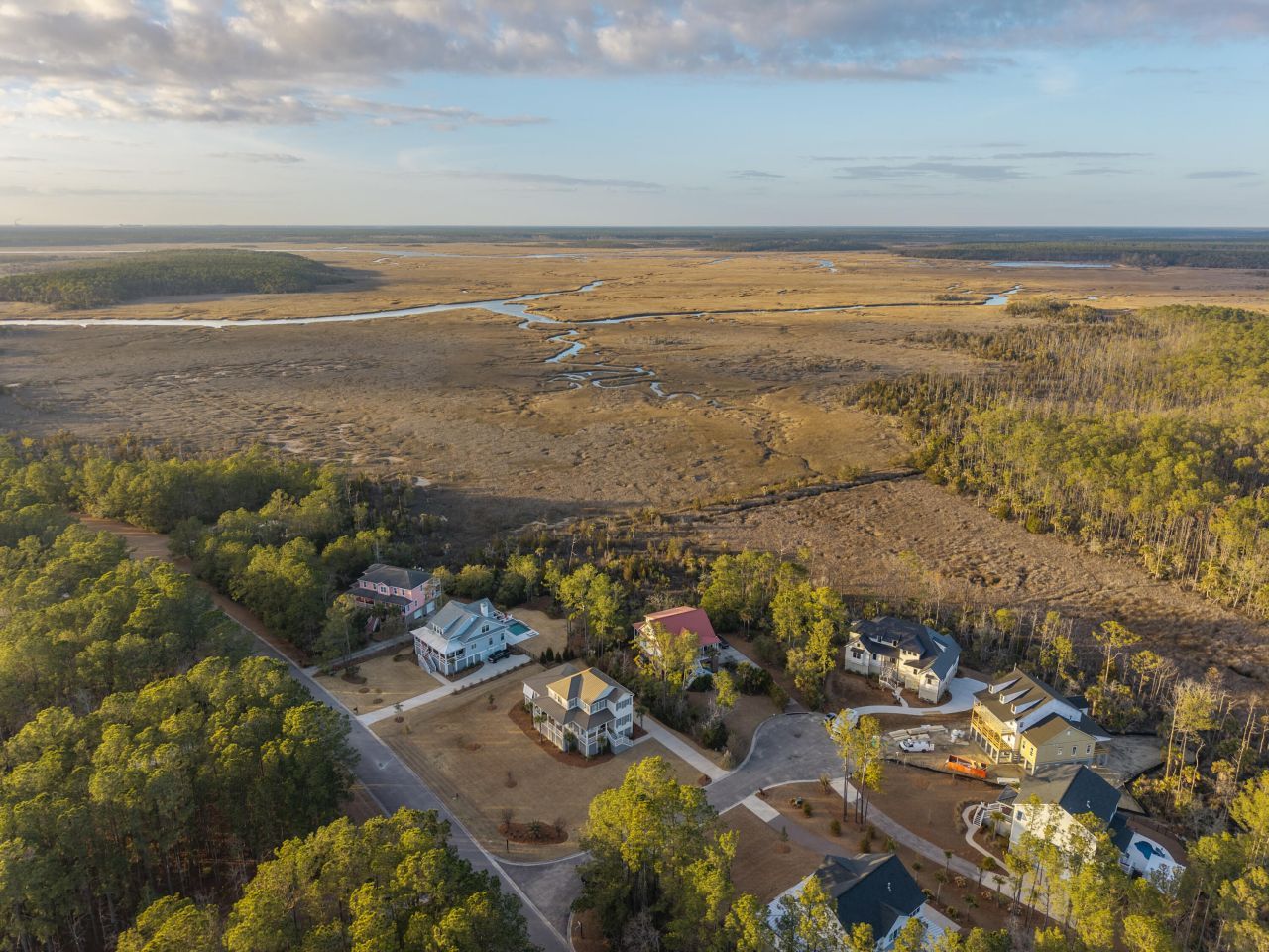 1455 Alligator Creek Court Photo 85