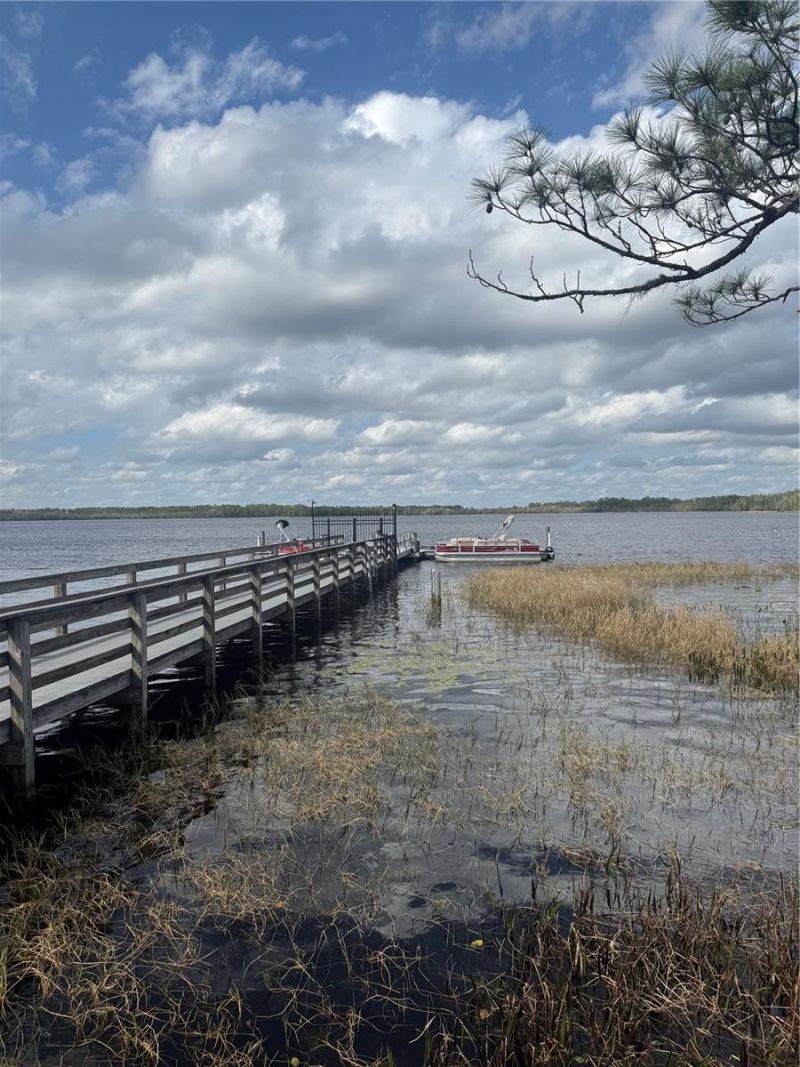 6911 Beargrass Road, Harmony, FL 34773 Photo