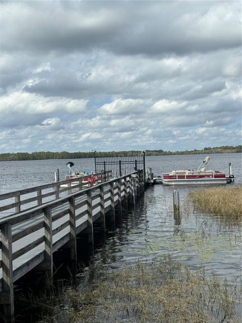 6911 Beargrass Road, Harmony, FL 34773 Photo