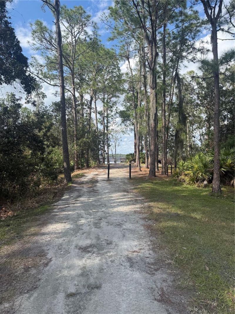 6911 Beargrass Road, Harmony, FL 34773 Photo