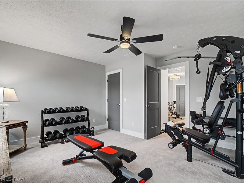 412 Salandra Court, Avon Lake, OH 44012 Photo 40