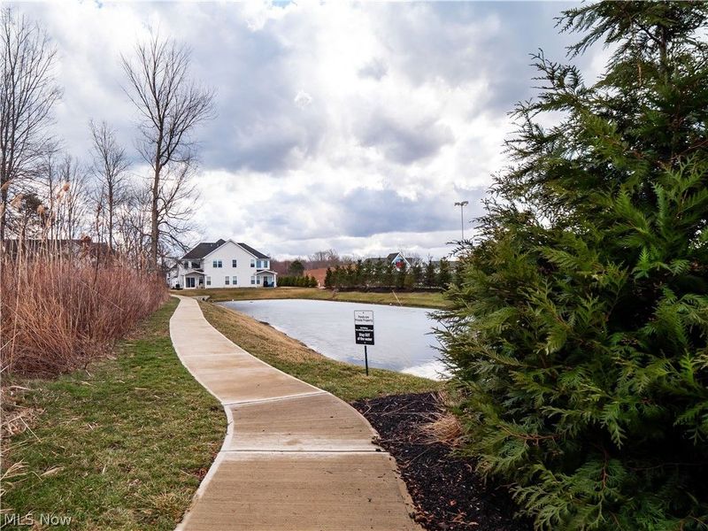 412 Salandra Court, Avon Lake, OH 44012 Photo 47