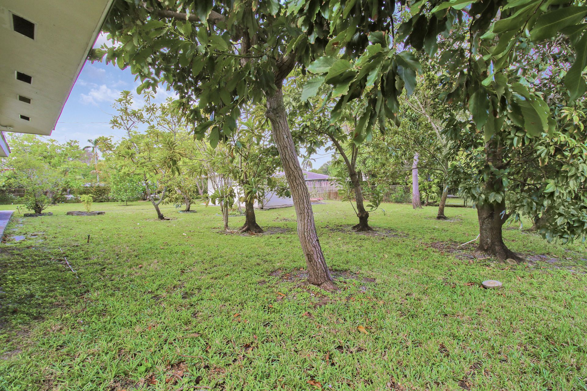 1231 SW 32nd Street, Fort Lauderdale, FL 33315 Photo