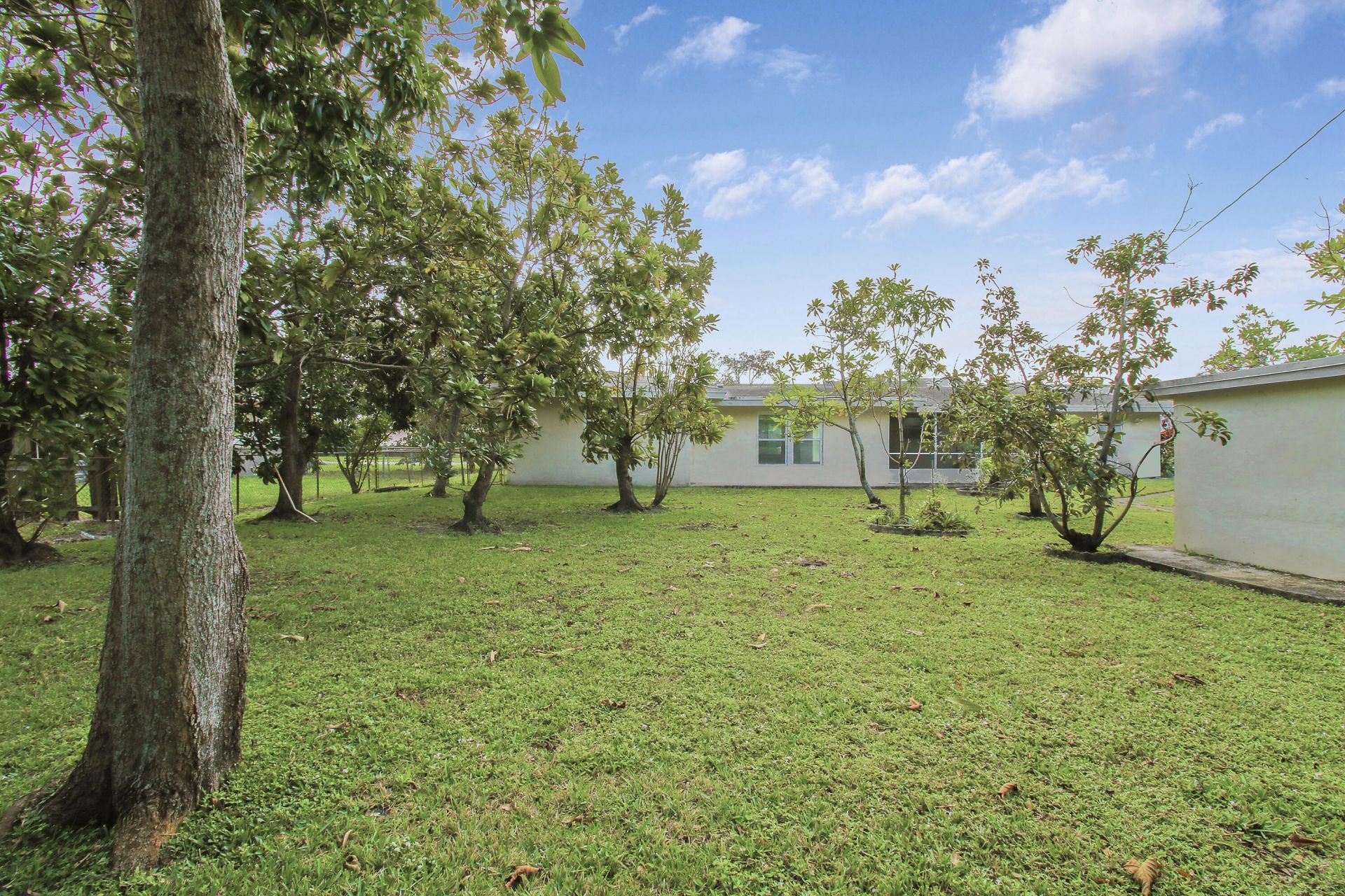 1231 SW 32nd Street, Fort Lauderdale, FL 33315 Photo