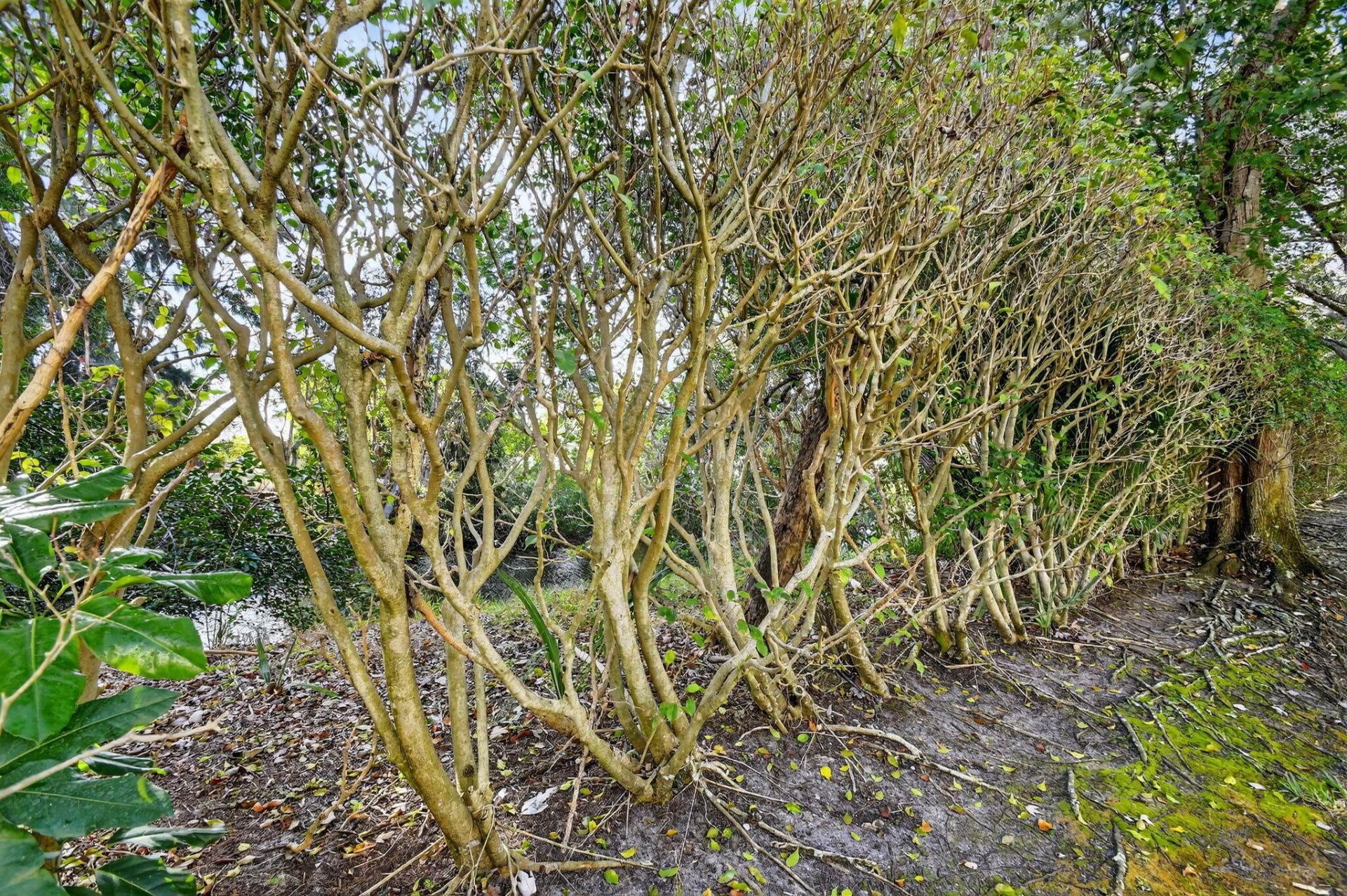 5015 Palmbrooke Circle, West Palm Beach, FL 33417 Photo