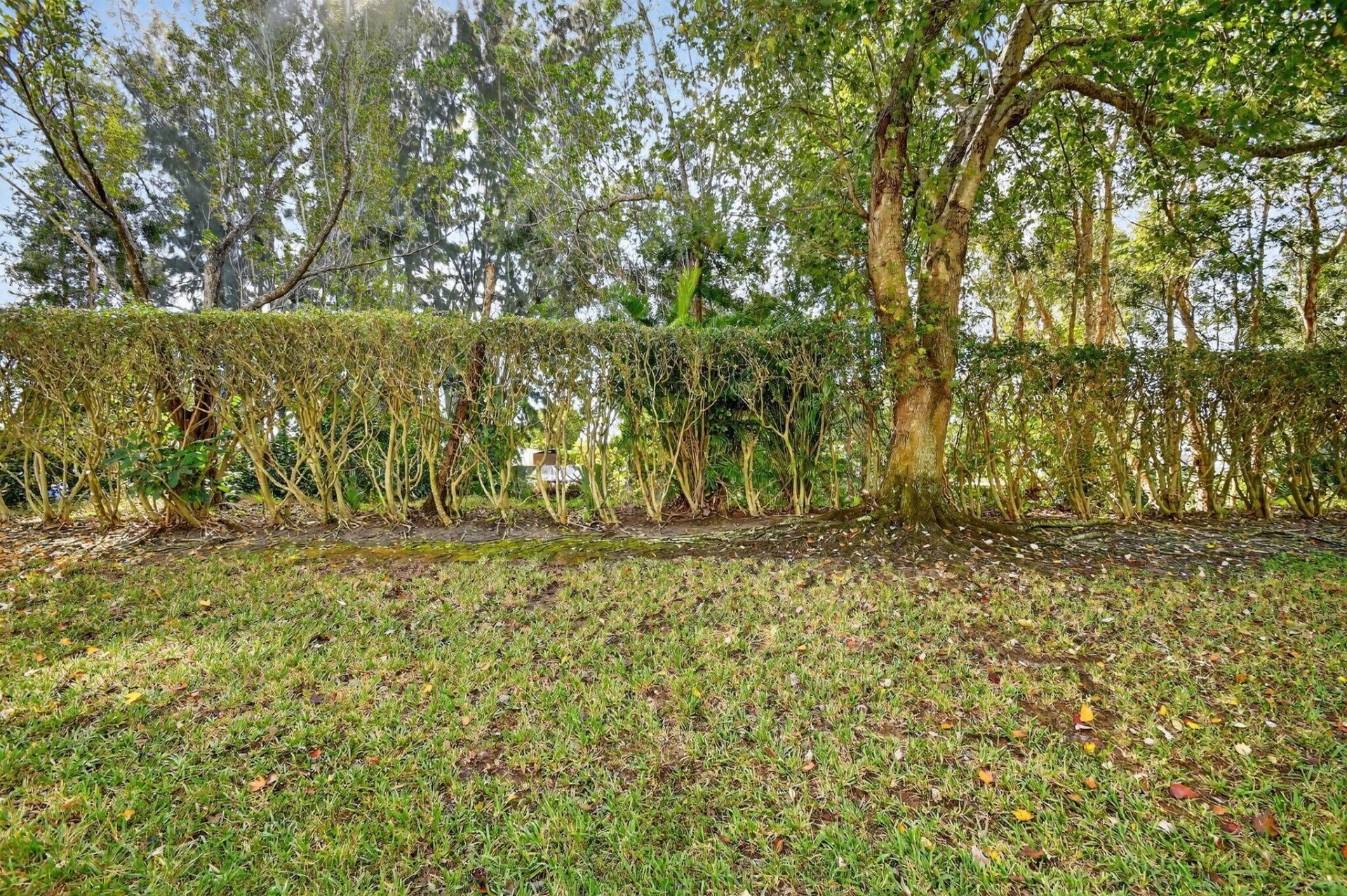 5015 Palmbrooke Circle, West Palm Beach, FL 33417 Photo