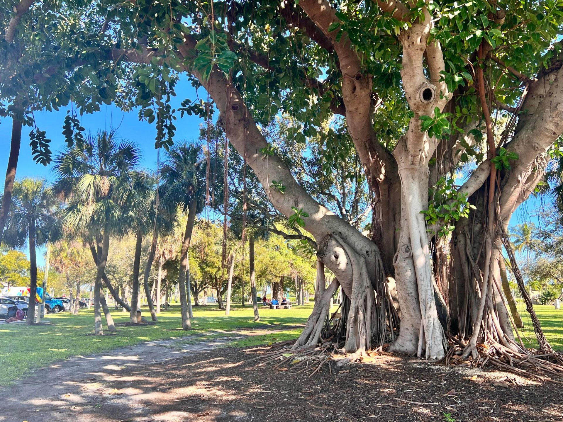 101 S Golfview Road, Unit 1, Lake Worth Beach, FL 33460 Photo