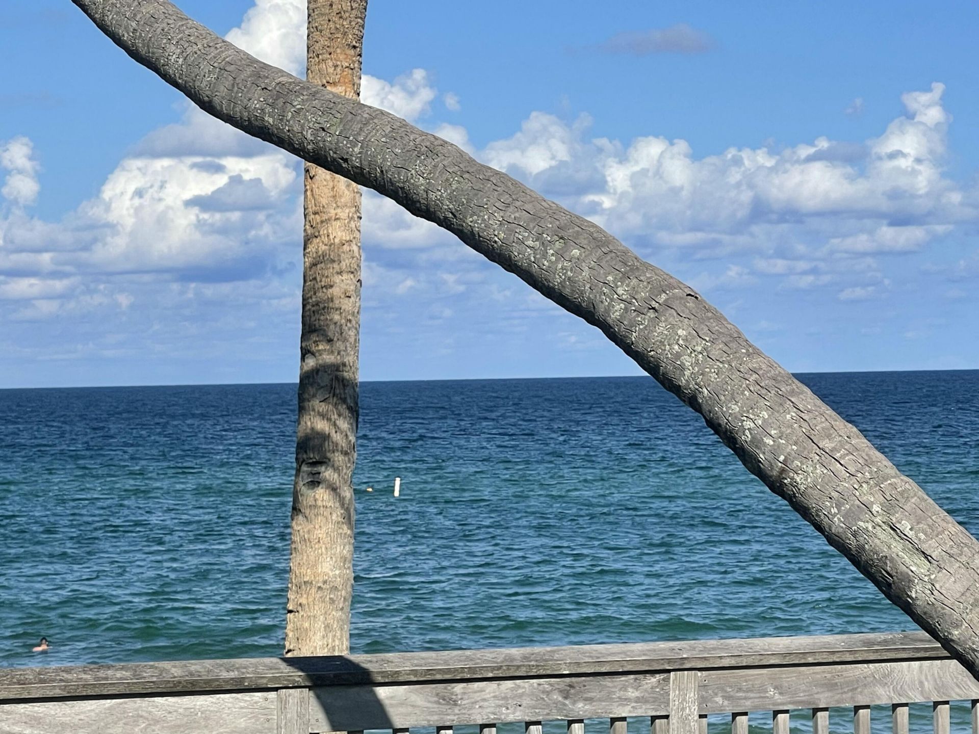 Please Call For Address, Hillsboro Beach, FL 33062 Photo