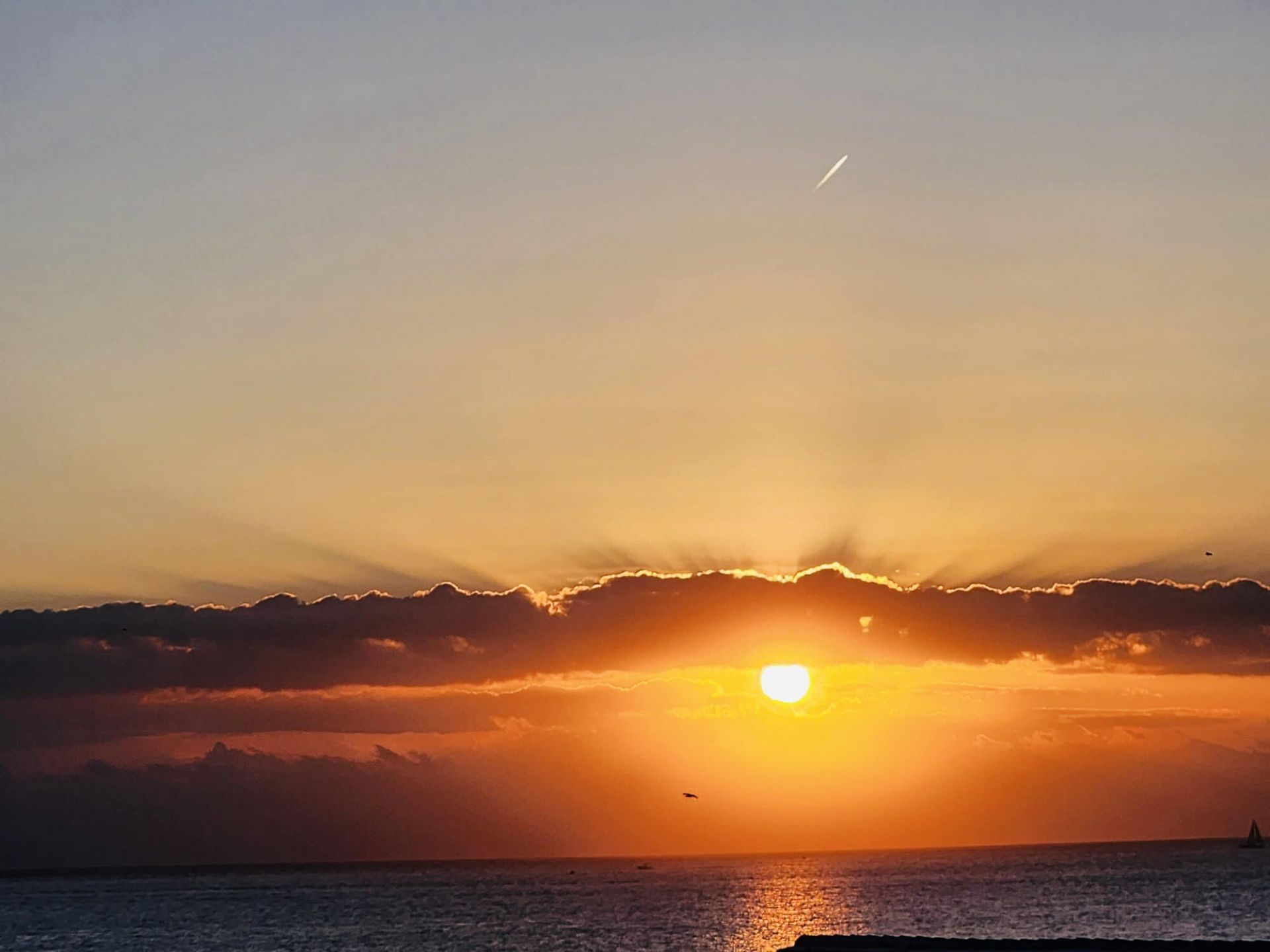 Please Call For Address, Hillsboro Beach, FL 33062 Photo