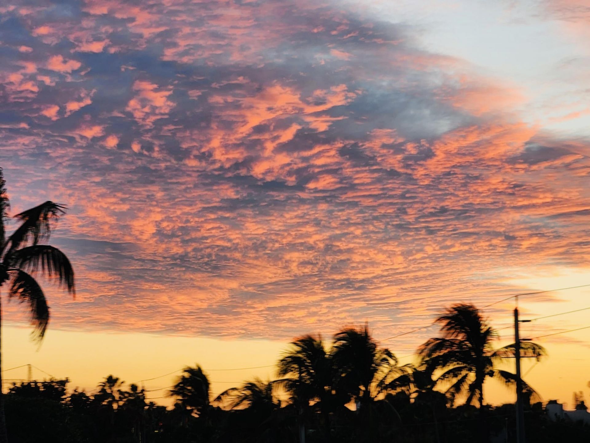 Please Call For Address, Hillsboro Beach, FL 33062 Photo